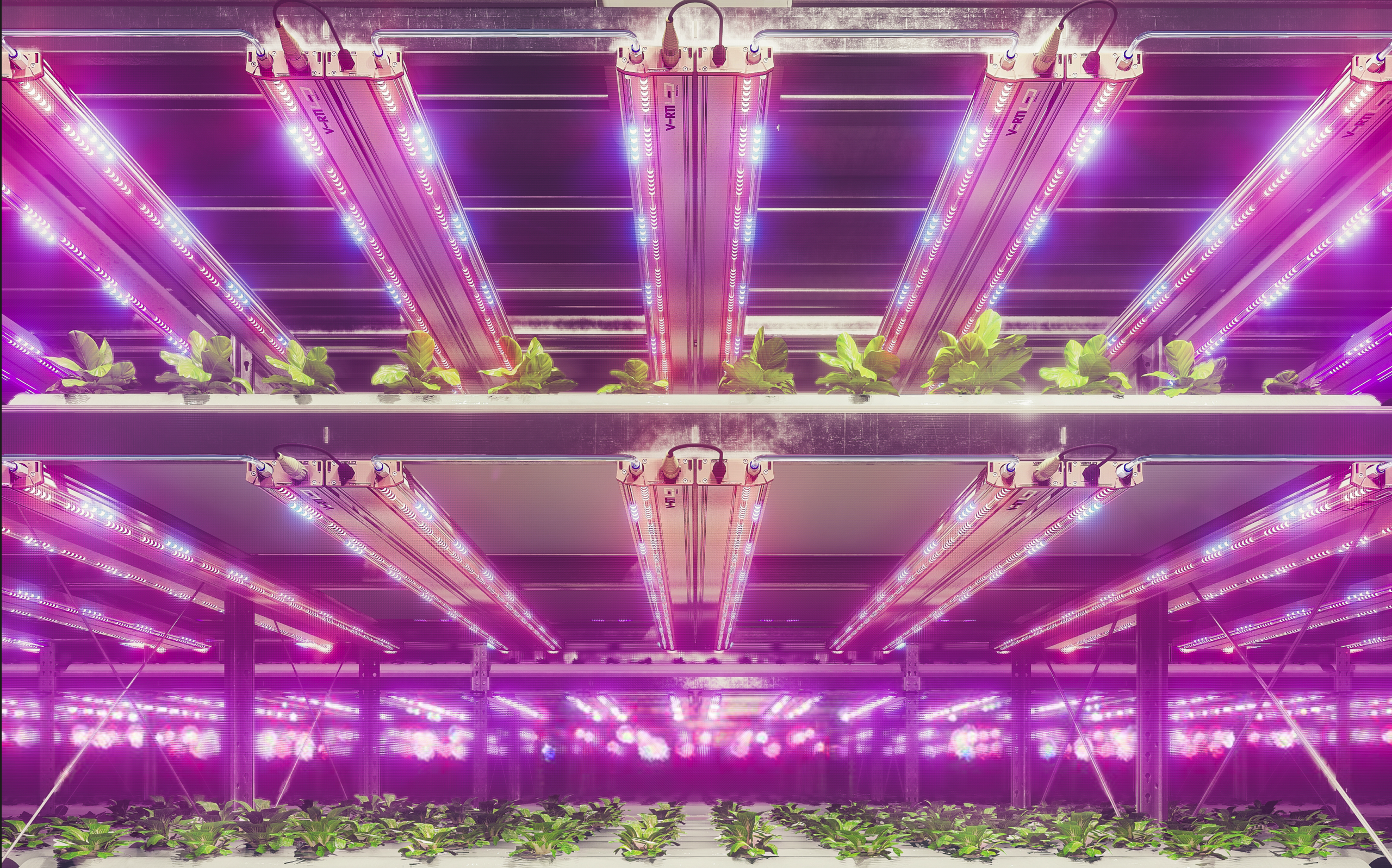 Multi-layer vertical farm illuminated by LED grow lights